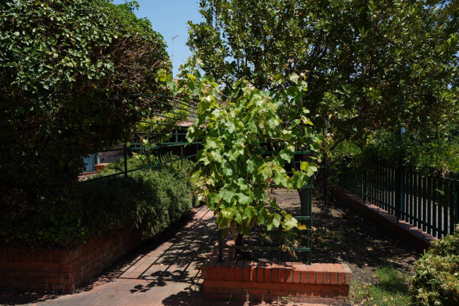 Villa singola in vendita a Pedara