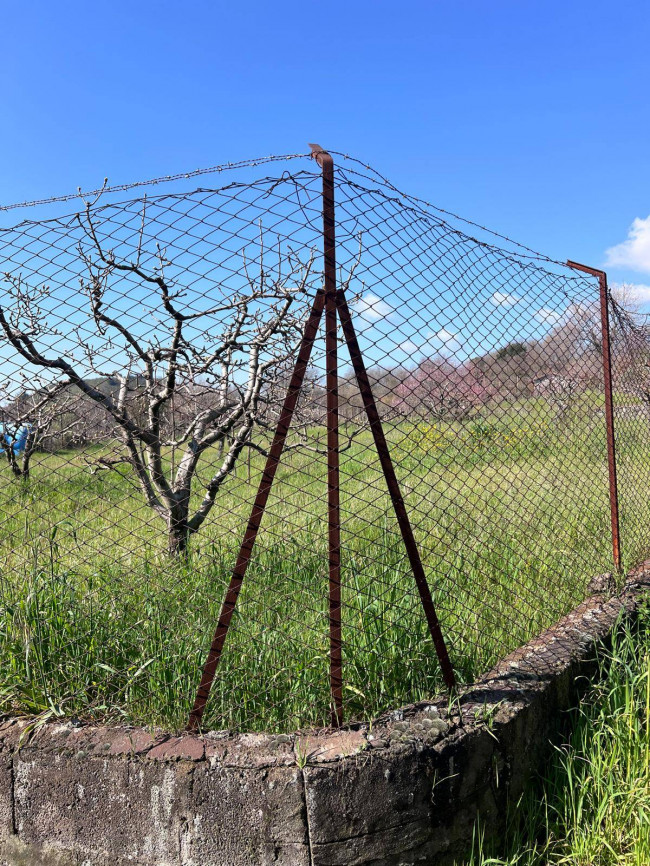 Terreno in vendita a Trecastagni