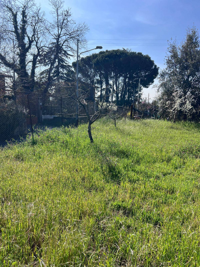 Terreno in vendita a Trecastagni