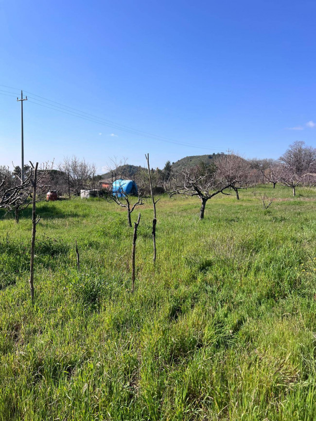 Terreno in vendita a Trecastagni