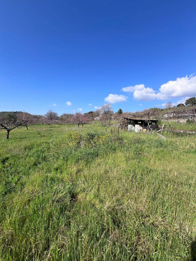 Terreno in vendita a Trecastagni