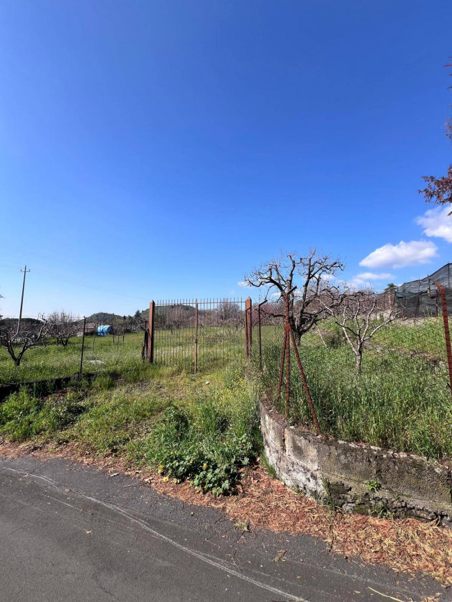 Terreno in vendita a Trecastagni