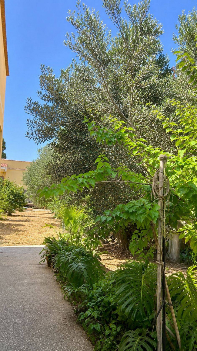 Casa Indipendente in vendita a Misiliscemi