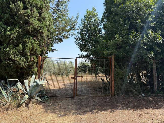 Terreno in vendita a Roma