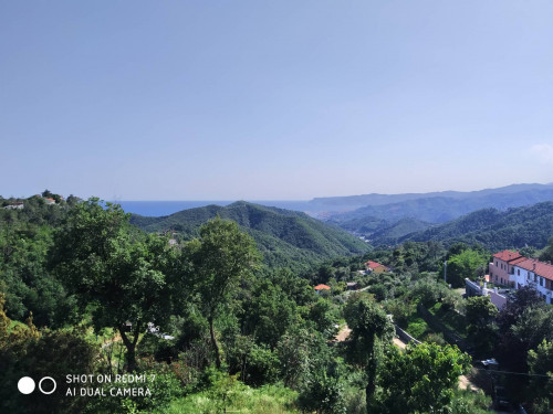 Appartamento in Affitto a Celle Ligure
