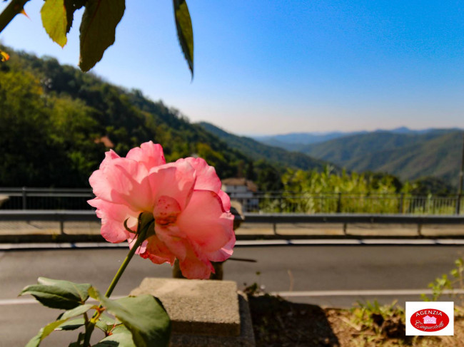 Casa semi-indipendente in vendita a San Martino, Stella (SV)