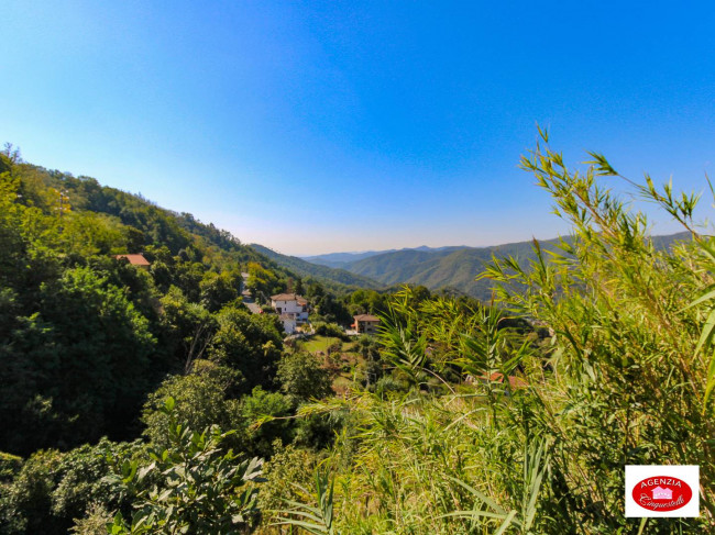 Casa semi-indipendente in vendita a San Martino, Stella (SV)