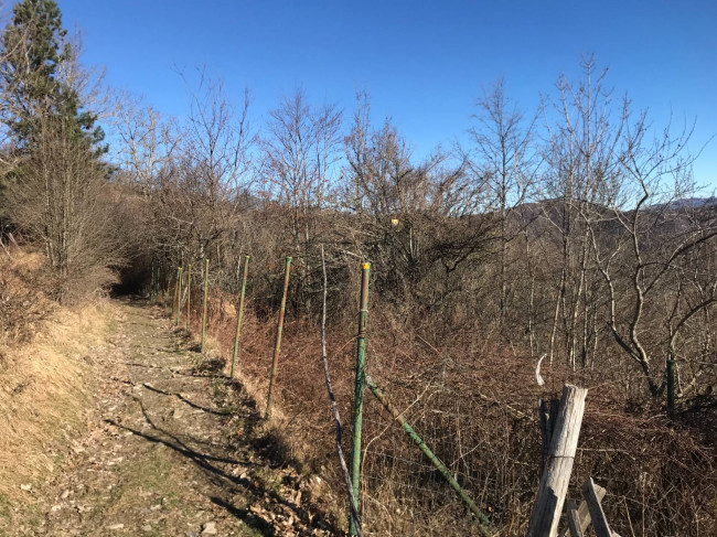 Casa indipendente in vendita a Torriglia (GE)