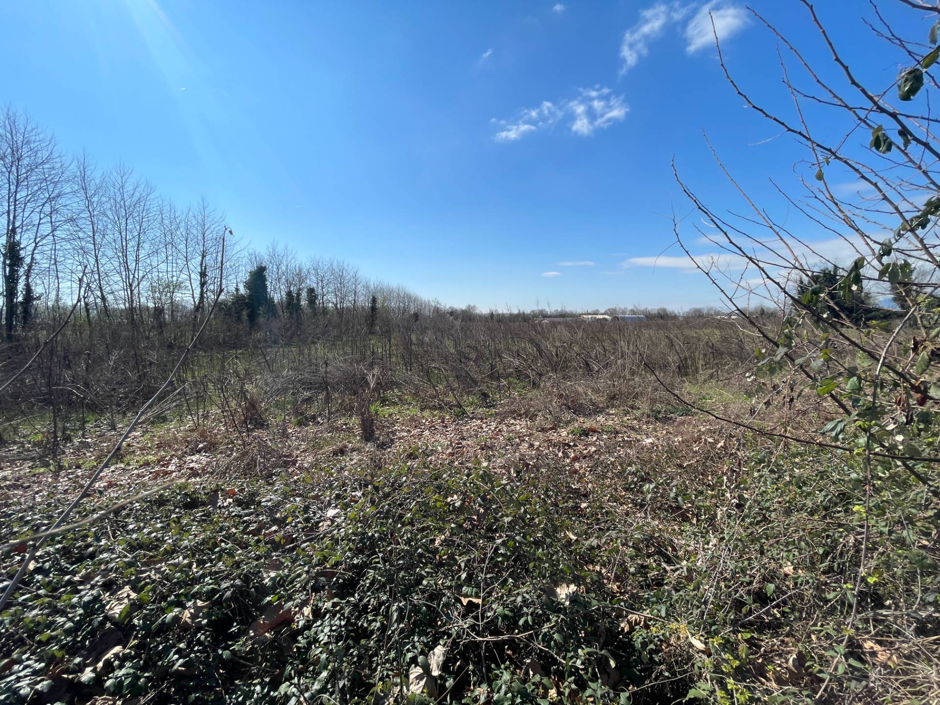 Terreno agricolo in vendita a Aviano (PN)