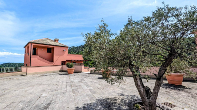  for Rent to Cogoleto