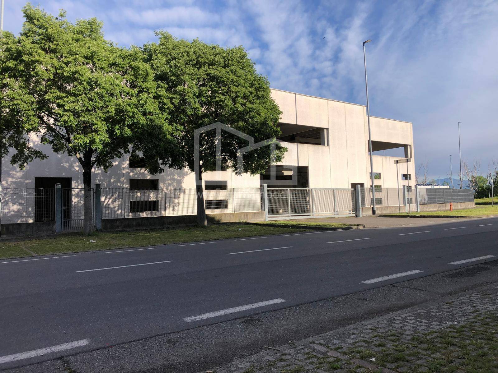 immobili