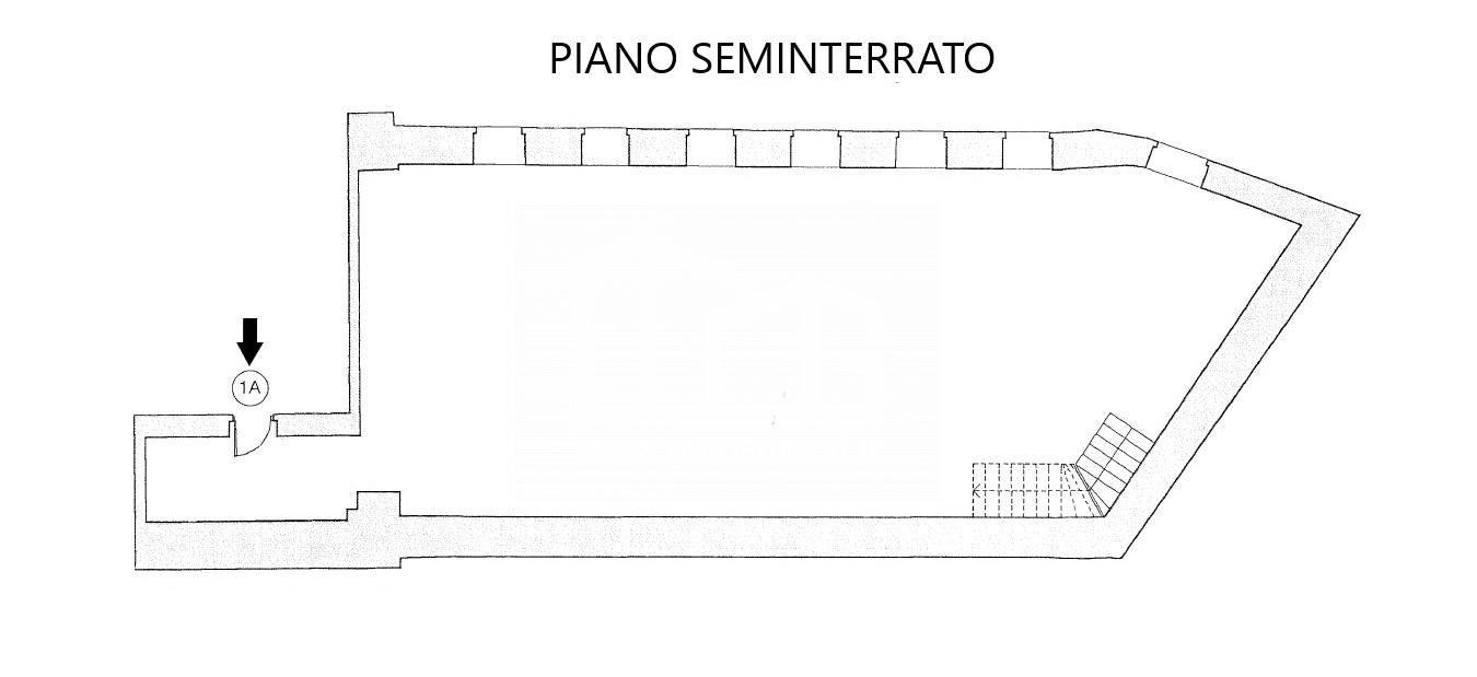 immobili