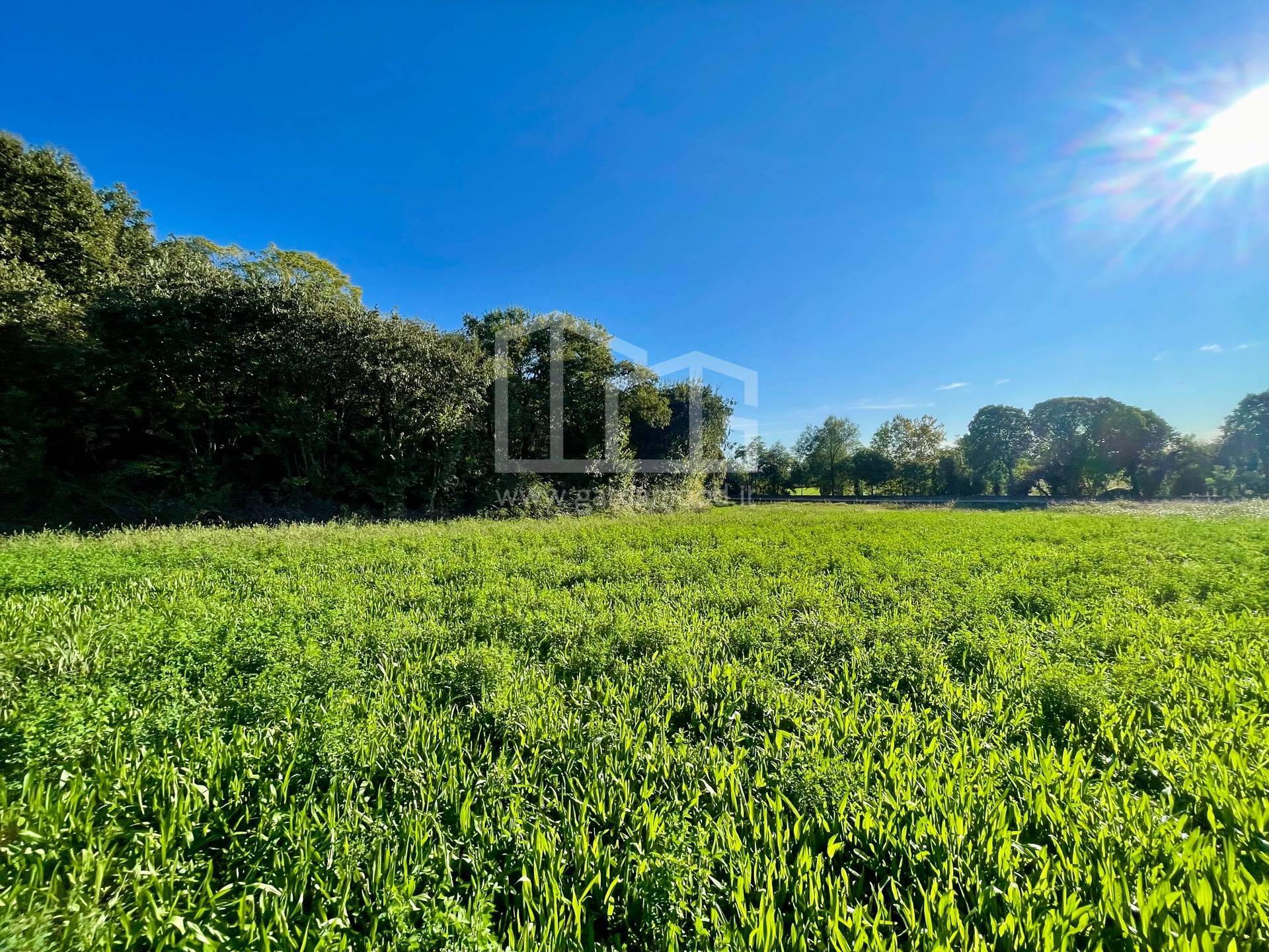 Terreno agricolo in vendita a Volta Mantovana (MN)