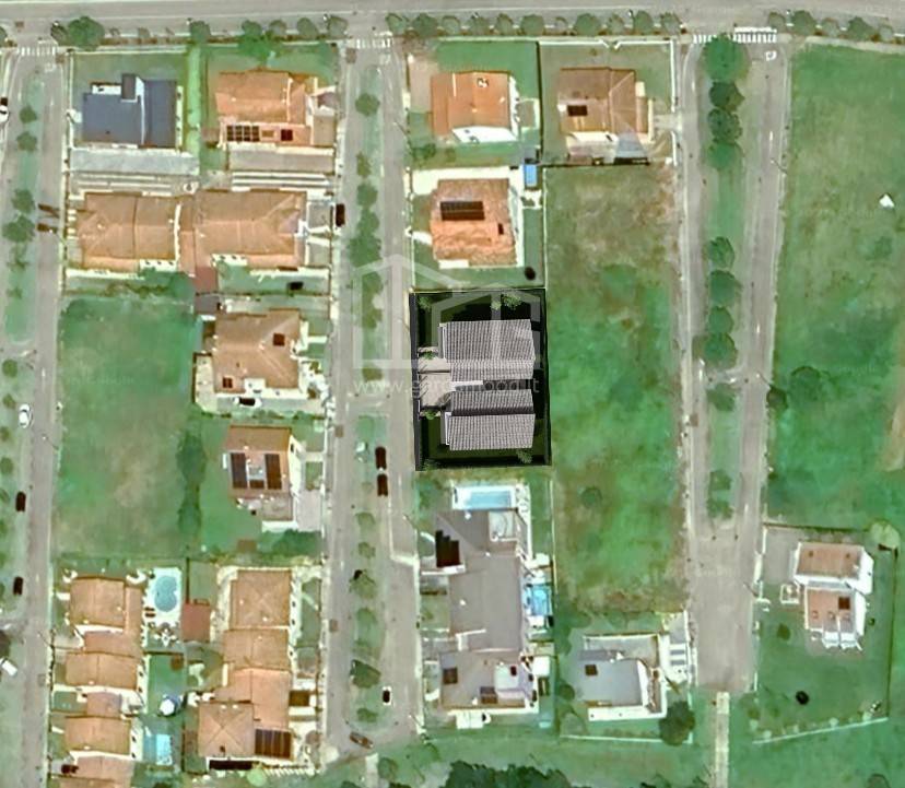 immobili