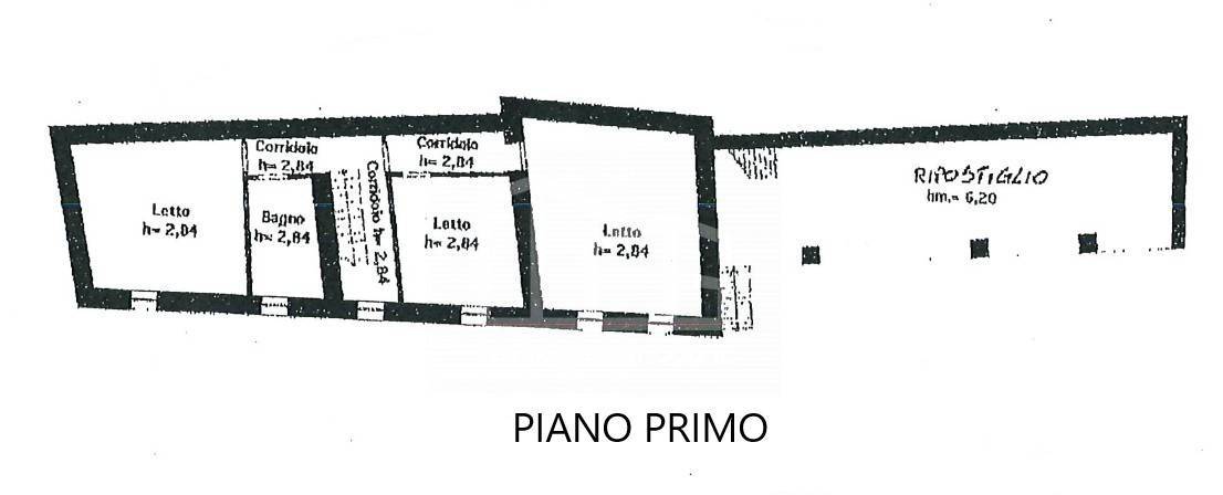 immobili