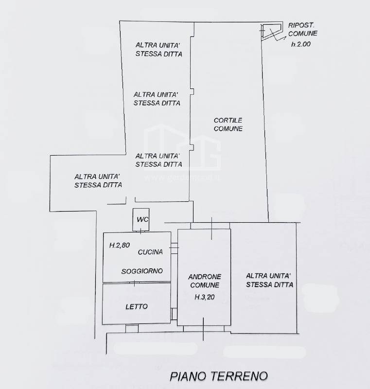 immobili