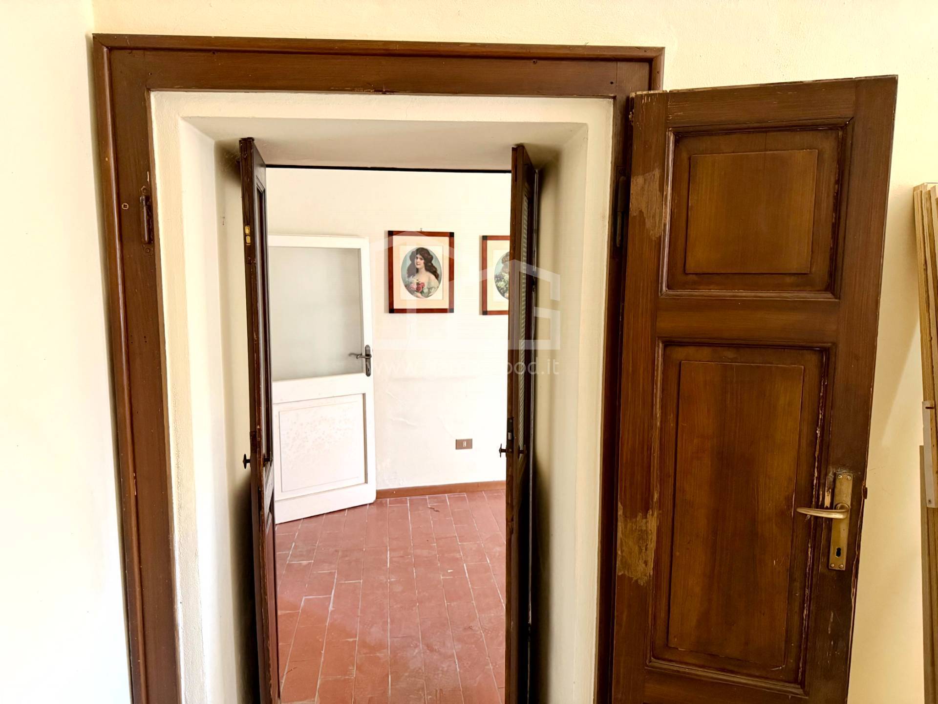 immobili
