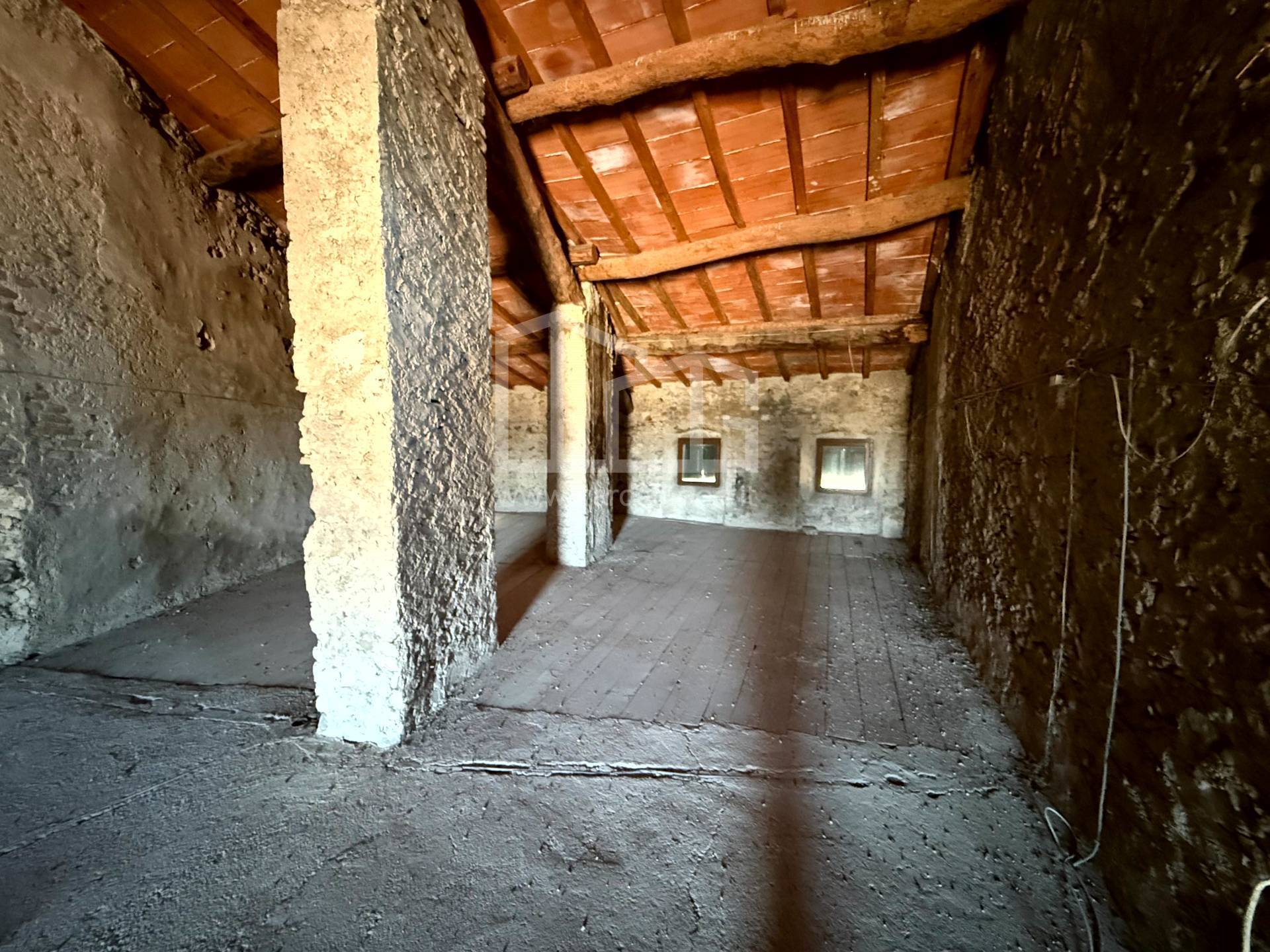 immobili