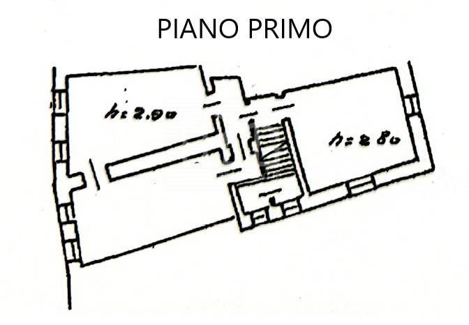 immobili