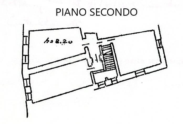 immobili