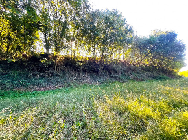 Terreno agricolo in vendita a Volta Mantovana (MN)