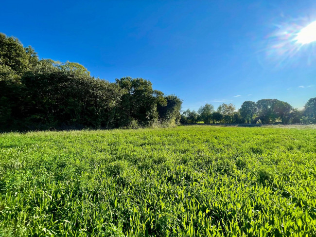 Terreno agricolo in vendita a Volta Mantovana (MN)