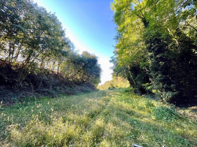 Terreno agricolo in vendita a Volta Mantovana (MN)