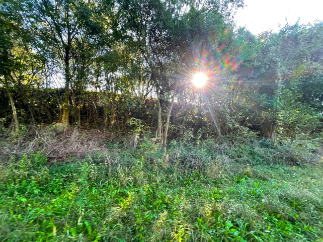 Terreno agricolo in vendita a Volta Mantovana (MN)