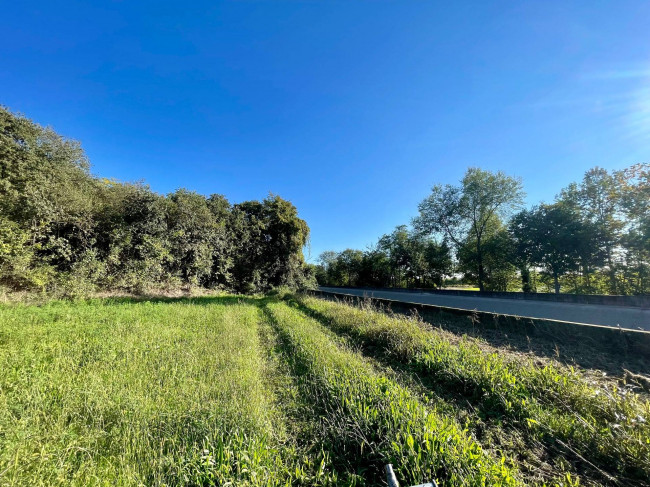 Terreno agricolo in vendita a Volta Mantovana (MN)