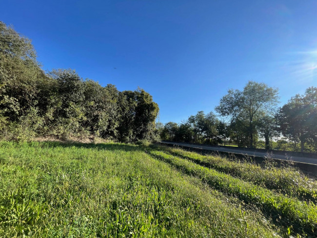 Terreno agricolo in vendita a Volta Mantovana (MN)