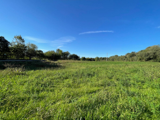 Terreno agricolo in vendita a Volta Mantovana (MN)