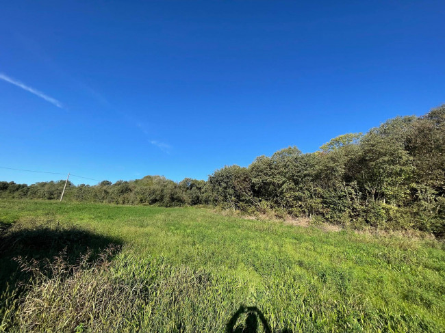 Terreno agricolo in vendita a Volta Mantovana (MN)