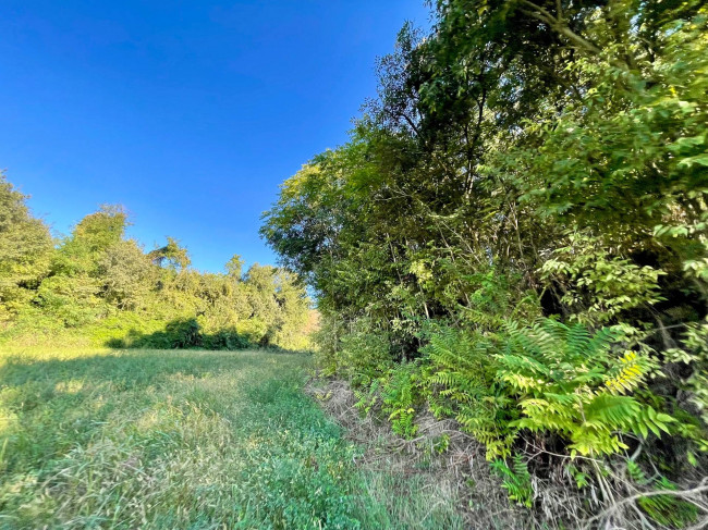 Terreno agricolo in vendita a Volta Mantovana (MN)