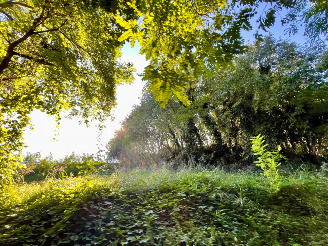 Terreno agricolo in vendita a Volta Mantovana (MN)