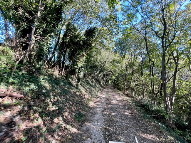 Terreno agricolo in vendita a Volta Mantovana (MN)