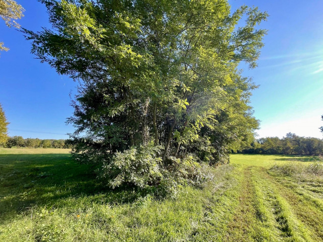 Terreno agricolo in vendita a Volta Mantovana (MN)