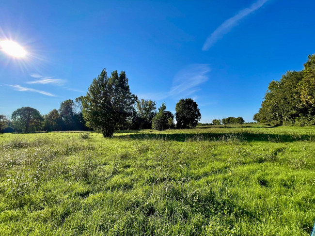 Terreno agricolo in vendita a Volta Mantovana (MN)