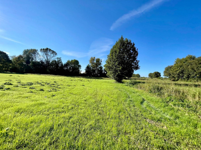 Terreno agricolo in vendita a Volta Mantovana (MN)