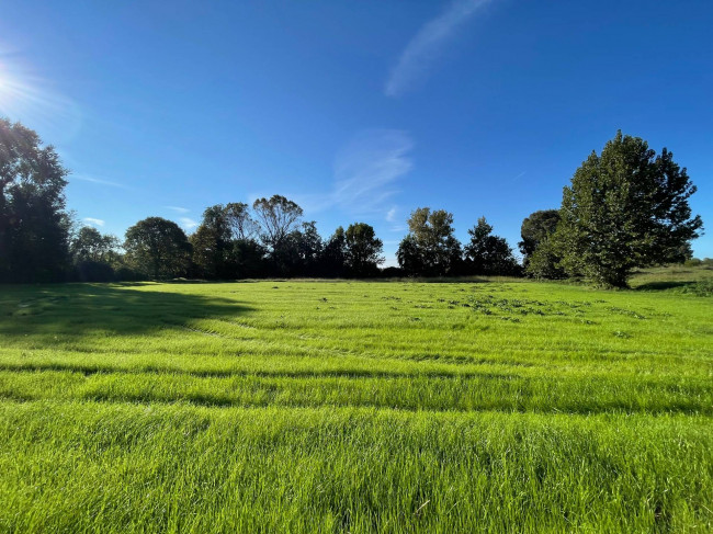 Terreno agricolo in vendita a Volta Mantovana (MN)