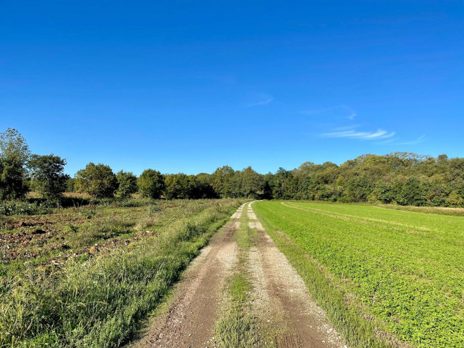 Terreno agricolo in vendita a Volta Mantovana (MN)