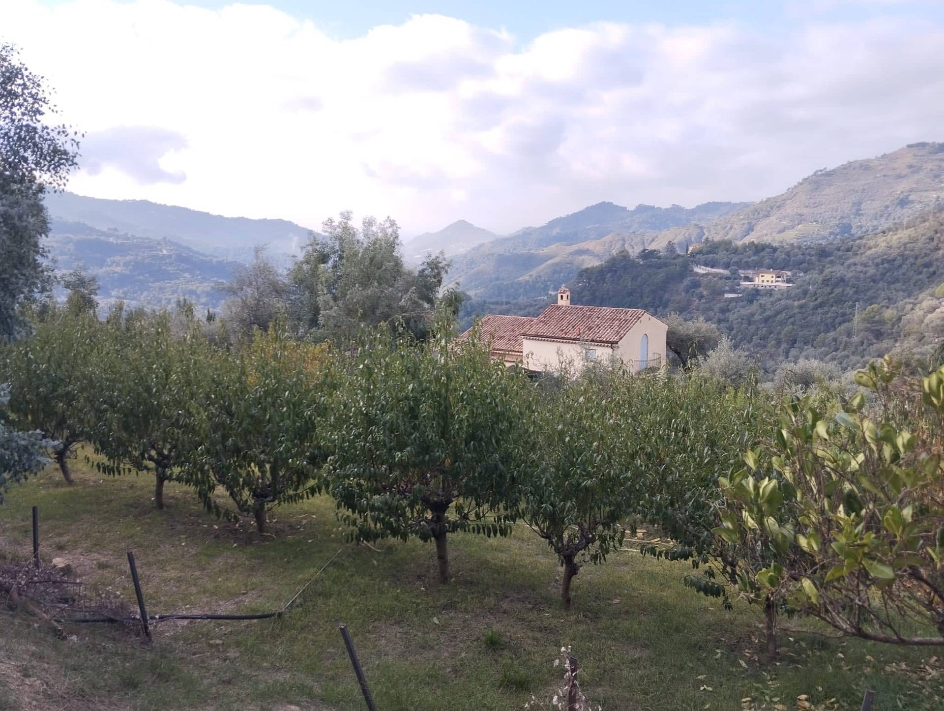 Terreno agricolo in vendita a Perinaldo (IM)