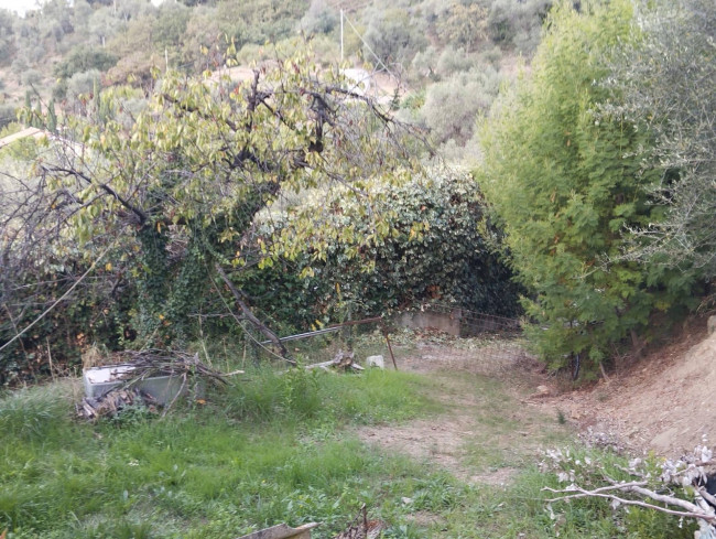 Terreno agricolo in vendita a Perinaldo (IM)