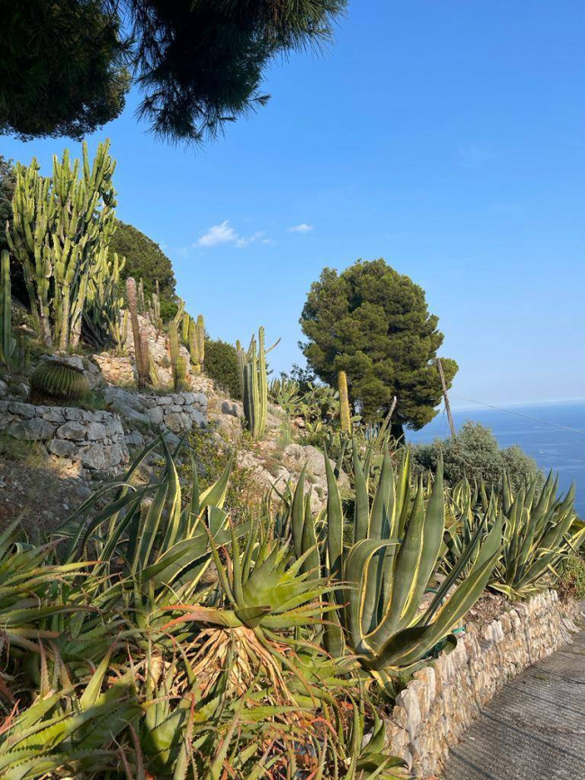 Villa in vendita a Ventimiglia (IM)