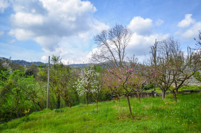 Villa in vendita a Moncalieri