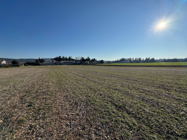 Terreno Agricolo in vendita a Gradisca d'Isonzo