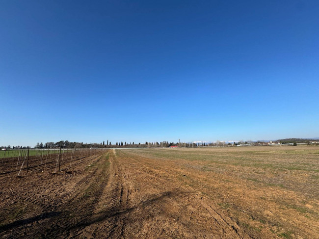 Terreno Agricolo in vendita a Gradisca d'Isonzo