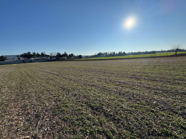 Terreno Agricolo in vendita a Gradisca d'Isonzo