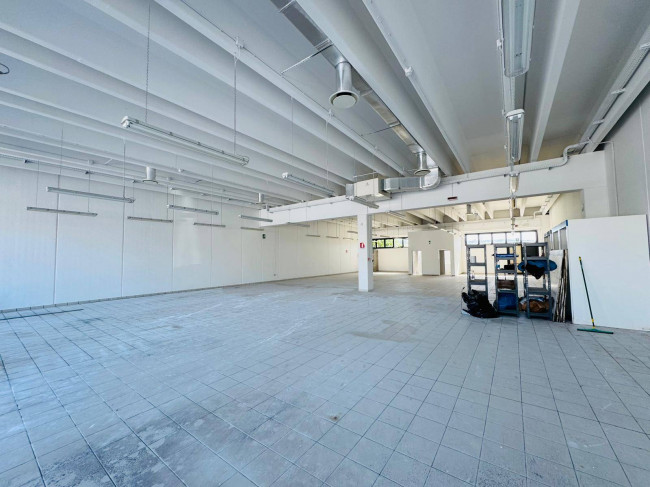 Capannone in affitto a Savogna d'Isonzo