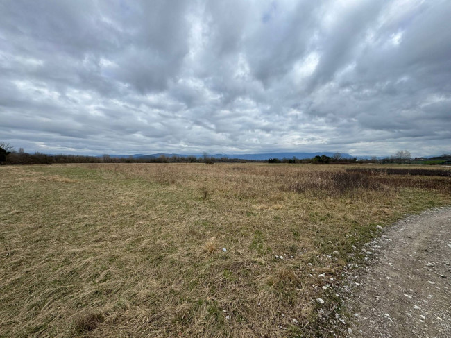 Terreno Agricolo in vendita a Savogna d'Isonzo