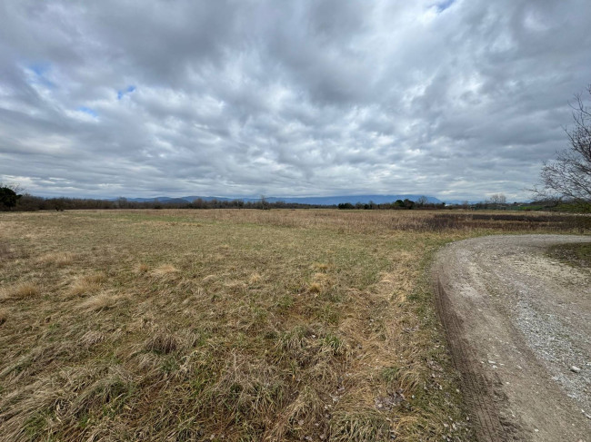 Terreno Agricolo in vendita a Savogna d'Isonzo